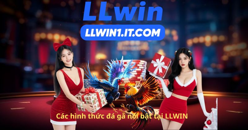 Các hình thức đá gà nổi bật tại LLWIN