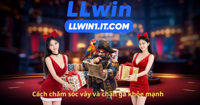 Cách chăm sóc vảy và chân gà khỏe mạnh