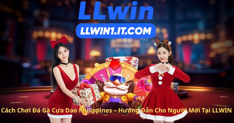 Cách Chơi Đá Gà Cựa Dao Philippines – Hướng Dẫn Cho Người Mới Tại LLWIN