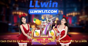 Cách Chơi Đá Gà Thomo – Hướng Dẫn Chi Tiết Cho Người Mới Tại LLWIN