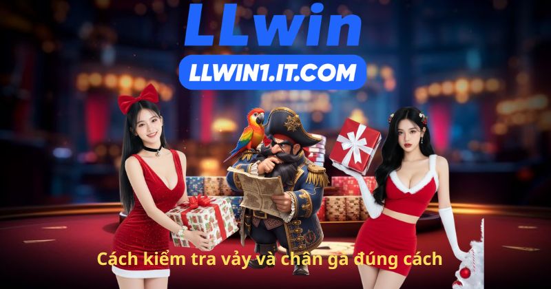 Cách kiểm tra vảy và chân gà đúng cách