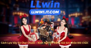 Cách Lựa Vảy Gà Chọi Chuẩn – Kinh Nghiệm Đánh Giá Sức Khỏe Đôi Chân