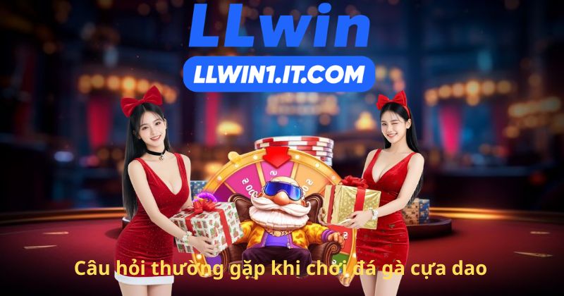 Câu hỏi thường gặp khi chơi đá gà cựa dao