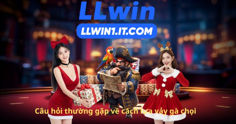 Câu hỏi thường gặp về cách lựa vảy gà chọi