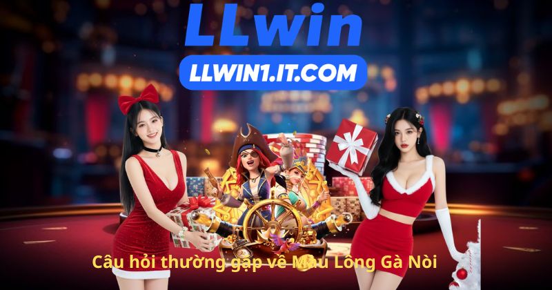 Câu hỏi thường gặp về Màu Lông Gà Nòi