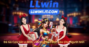 Đá Gà Cựa Sắt LLWIN – Hướng Dẫn Đọc Kèo Cho Người Mới